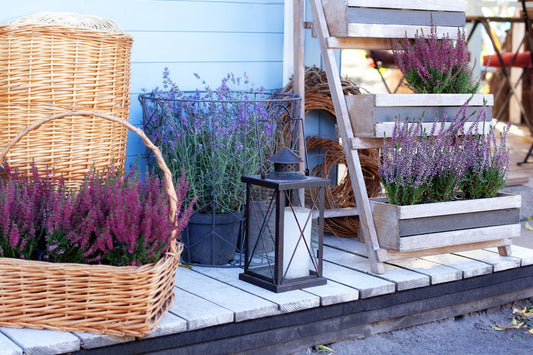 The Best Plants for Shading and Beautifying Your Patio