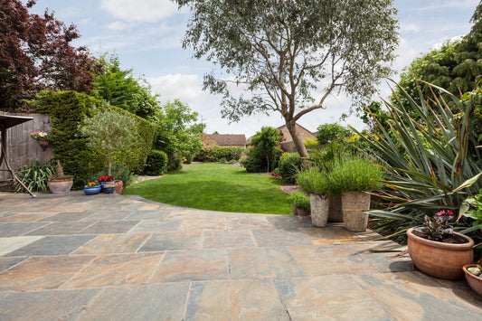 Low-Maintenance Landscaping Ideas for Outdoor Living Areas